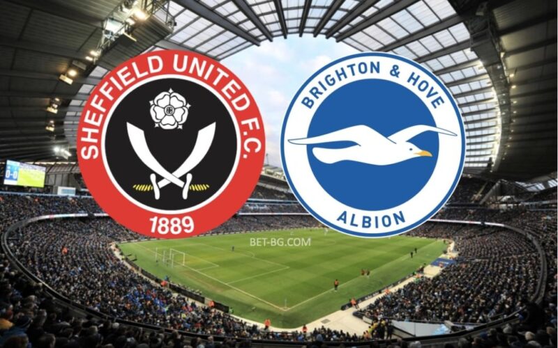 Sheffield United - Brighton bet365