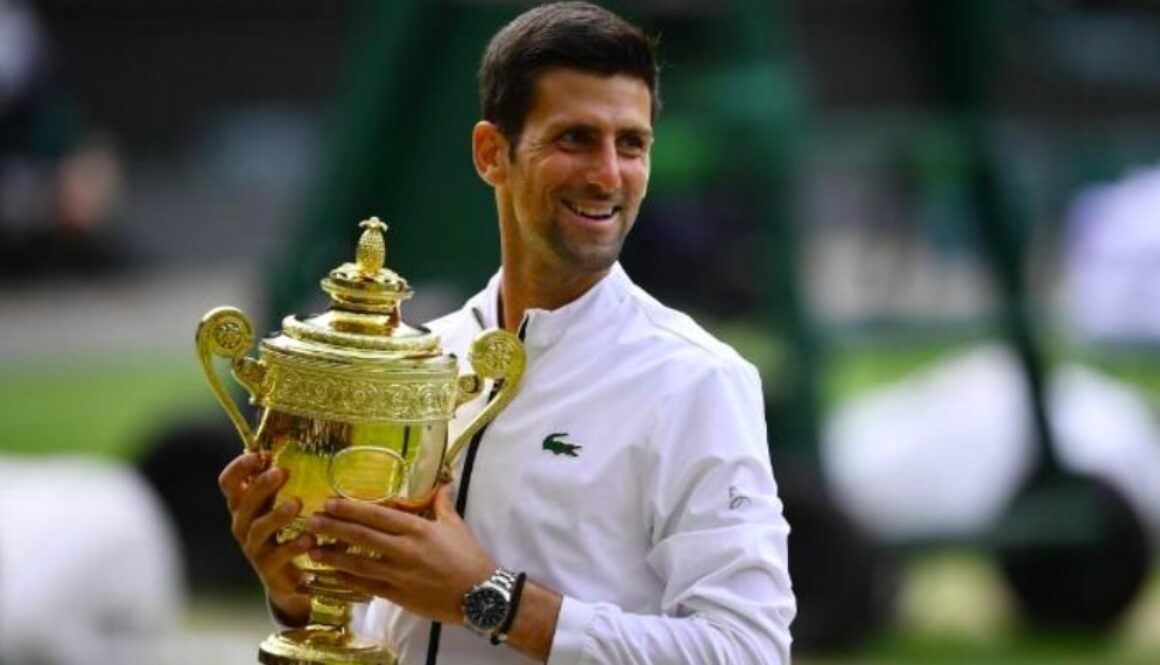 Djokovic has no weaknesses