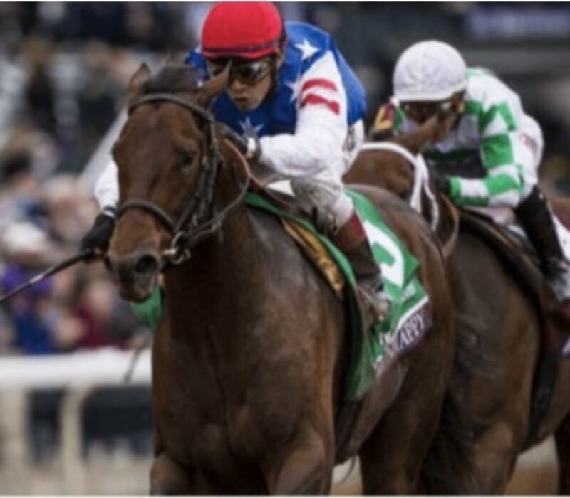 Horse Racing bet365 Horse Racing bet365