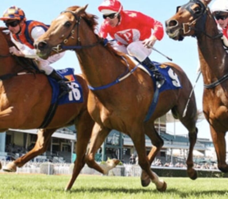 Horse racing bet365 Horse racing bet365