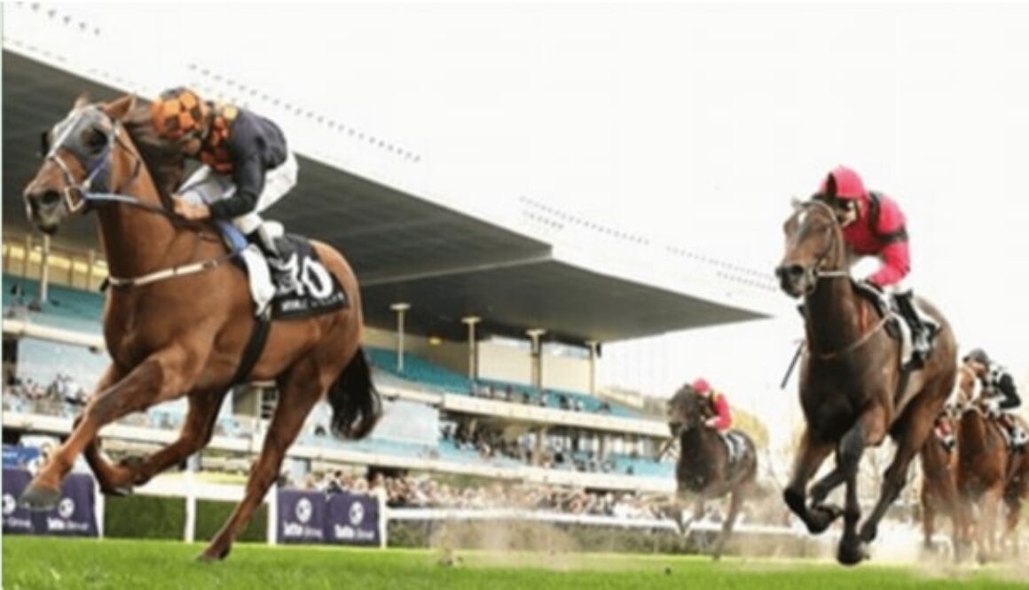 El Fitto bet365