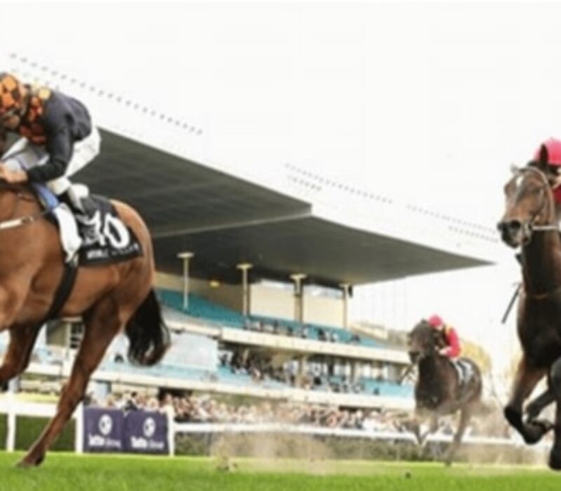 El Fitto bet365