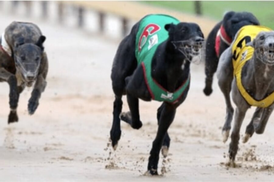 Toolleen Town bet365