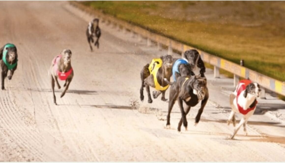 Murphey bet365