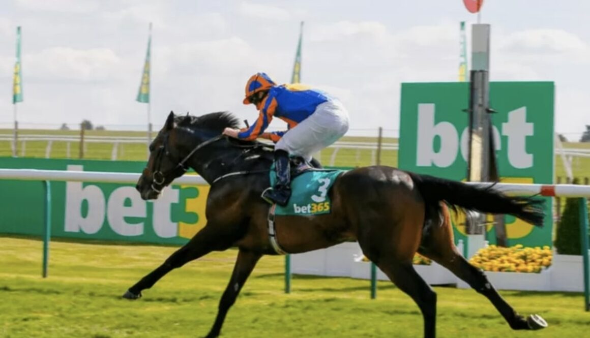 Horse racing on July 16 - Luna One bet365