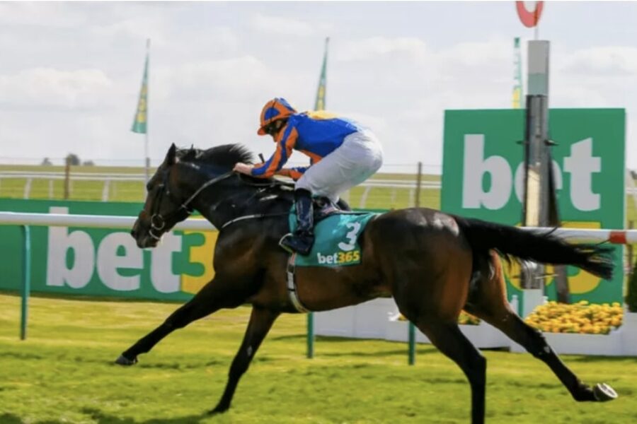 Horse racing on July 16 - Luna One bet365