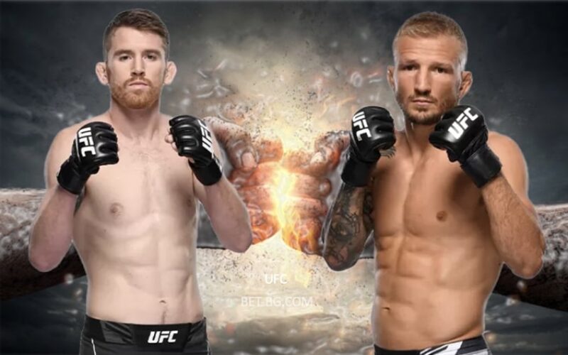 Cory Sandhagen - TJ Dillashaw bet365