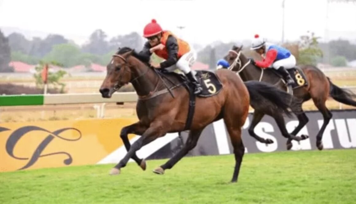 Horse racing on August 31 - Selby's Pride bet365