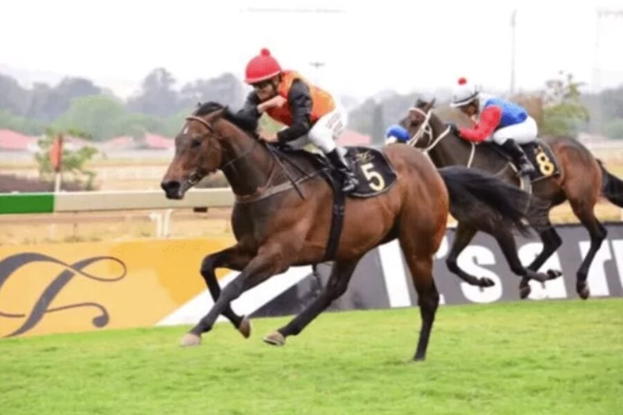 Horse racing on August 31 - Selby's Pride bet365