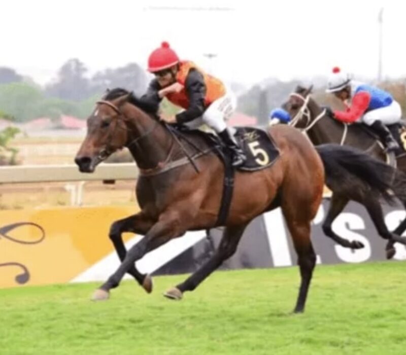 grenoble horse racing bet365