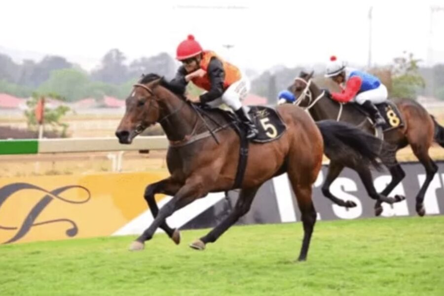 grenoble horse racing bet365