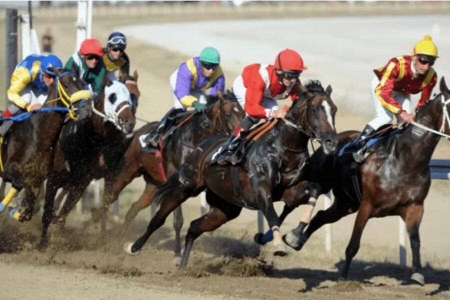 hafit horse racing bet365