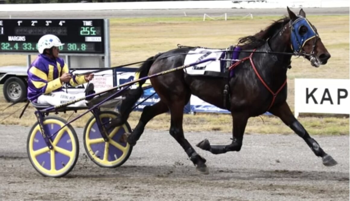 mataoki trotting race bet365