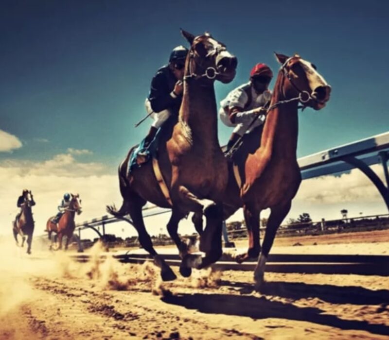 pearl glory horse racing bet365