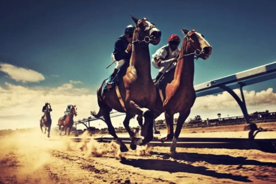 pearl glory horse racing bet365