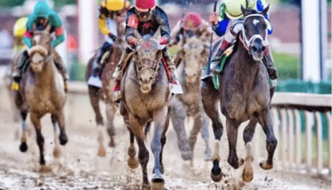 rockfire horse racing bet365