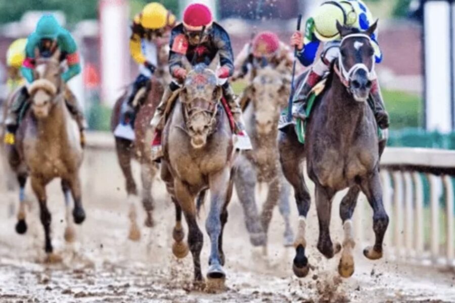 rockfire horse racing bet365