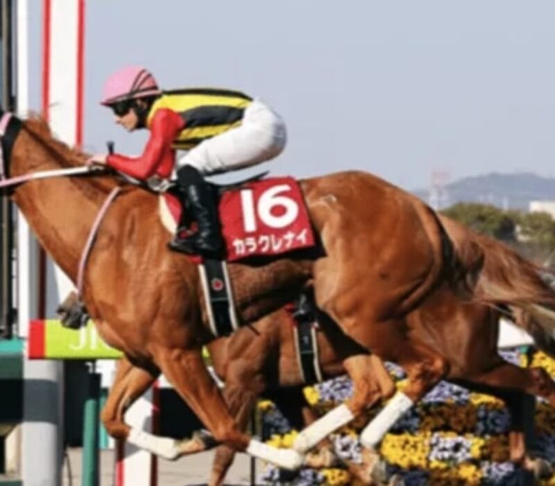 horse racing choocen port bet365