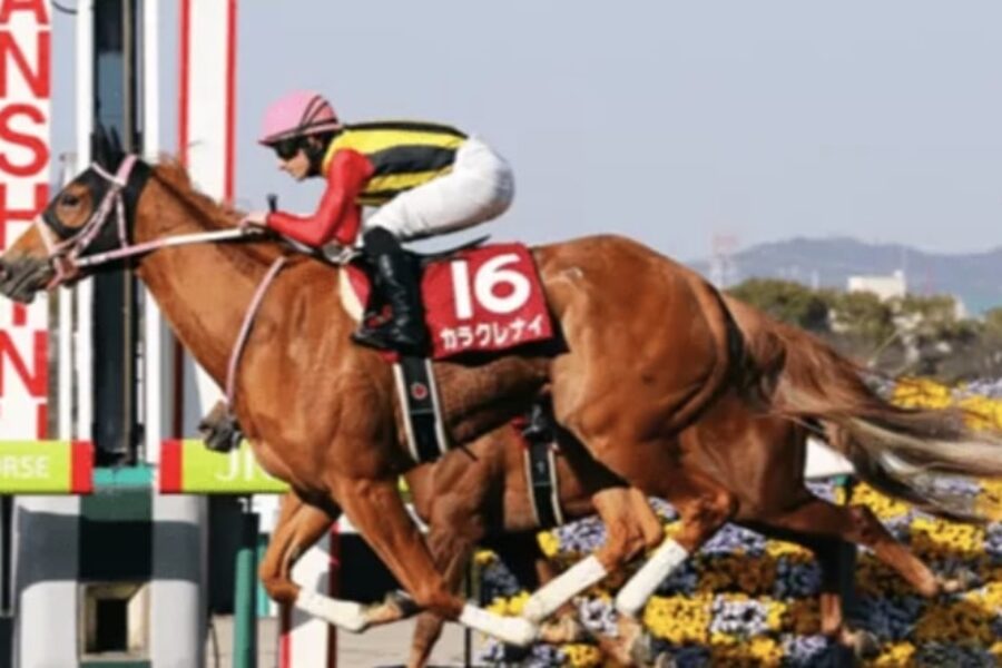 horse racing choocen port bet365