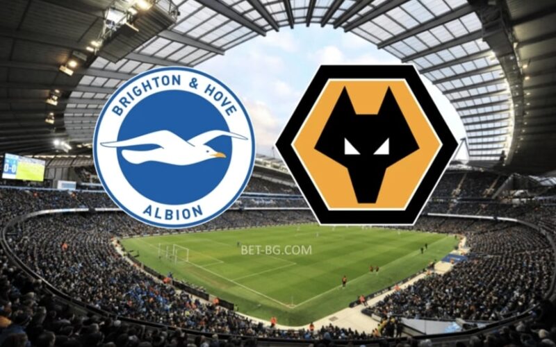 Brighton - Wolverhampton bet365