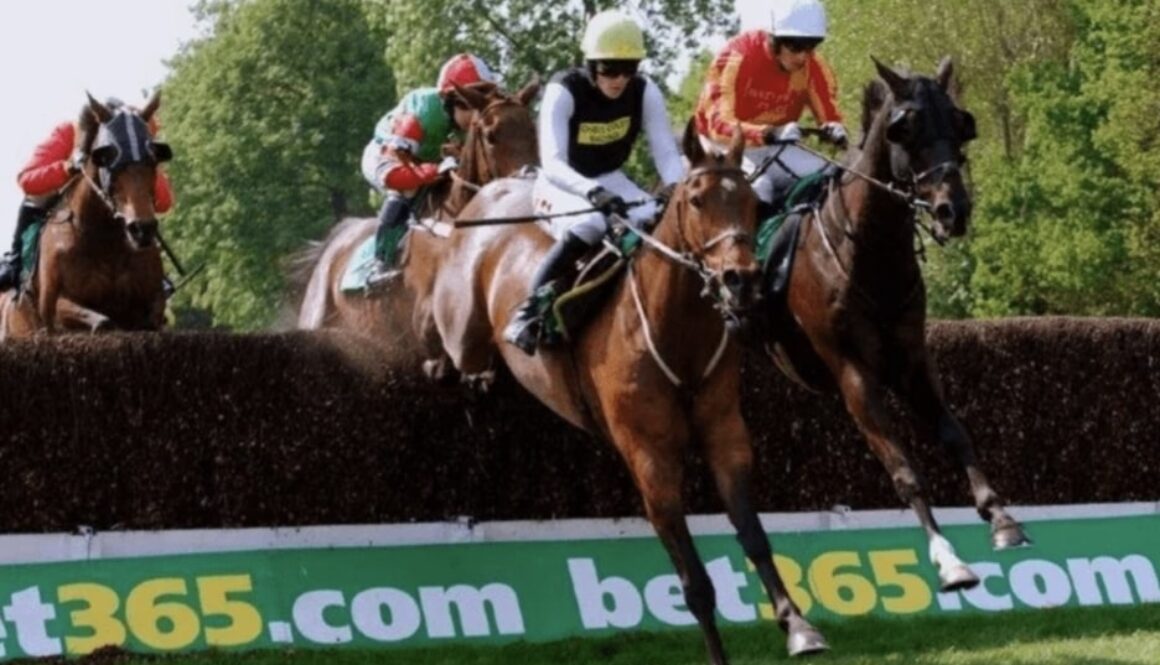 horse racing 31 december bet365