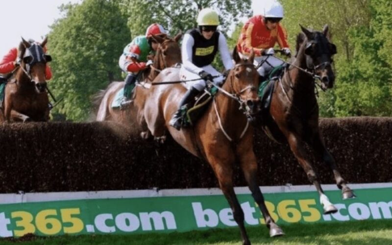 horse racing 31 december bet365