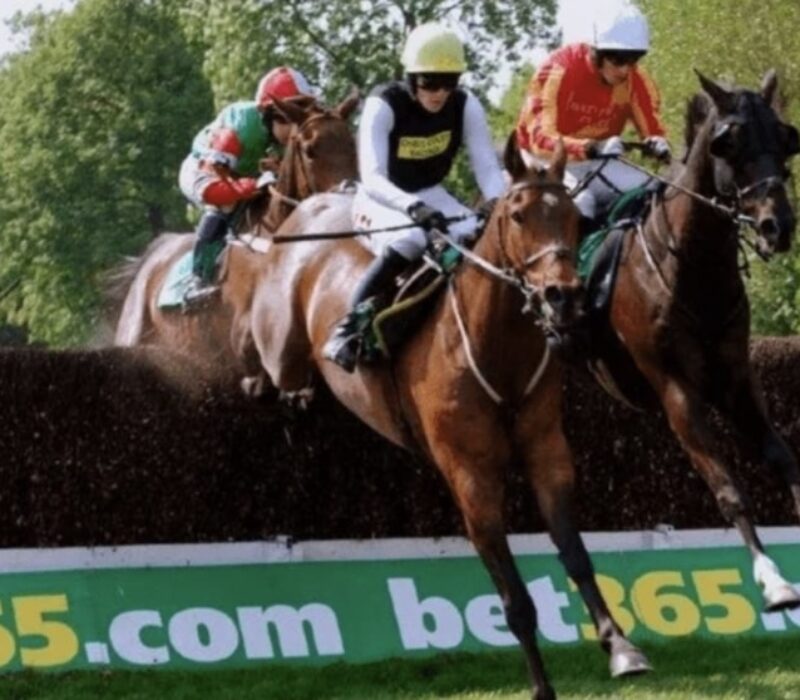 horse racing 31 december bet365 horse racing 31 december bet365