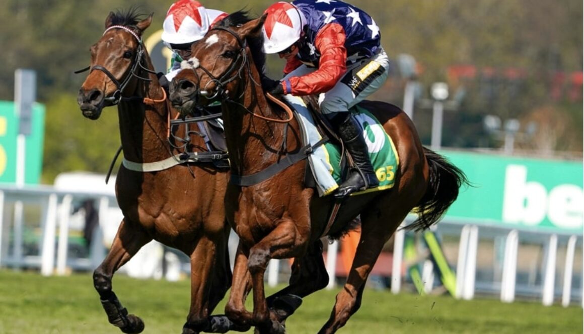 Fuji Flight horse racing bet365