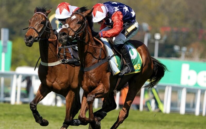 Fuji Flight horse racing bet365