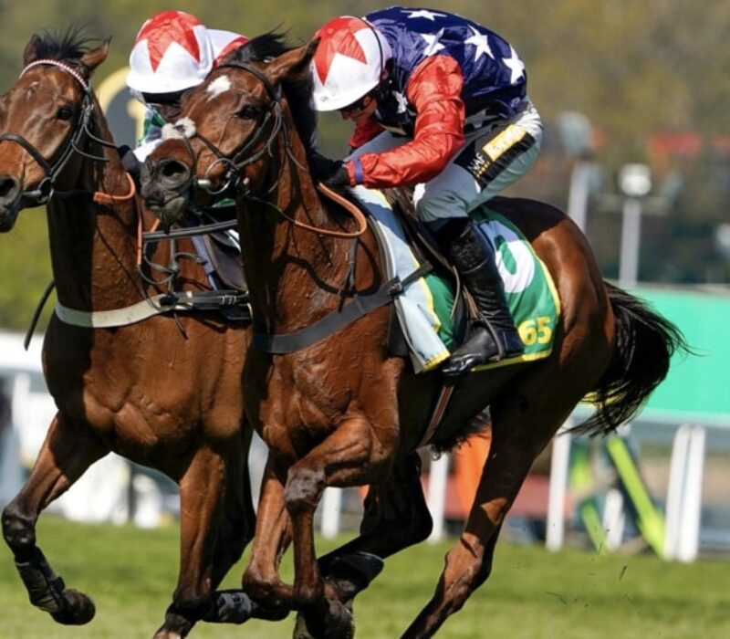 Fuji Flight horse racing bet365 Fuji Flight horse racing bet365
