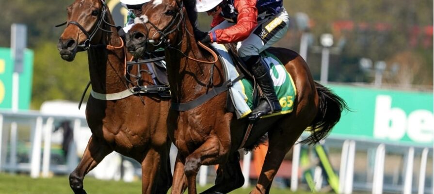 Fuji Flight horse racing bet365