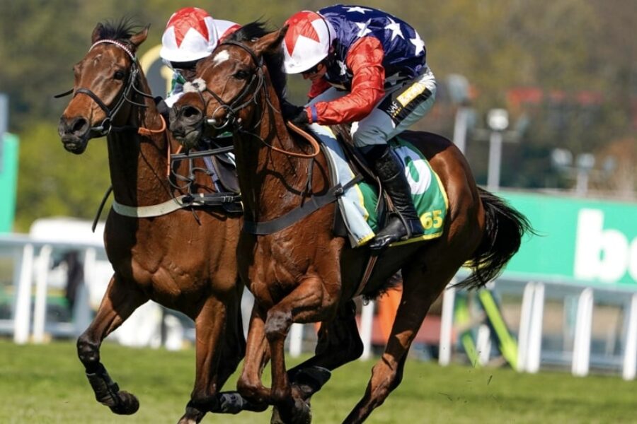 Fuji Flight horse racing bet365