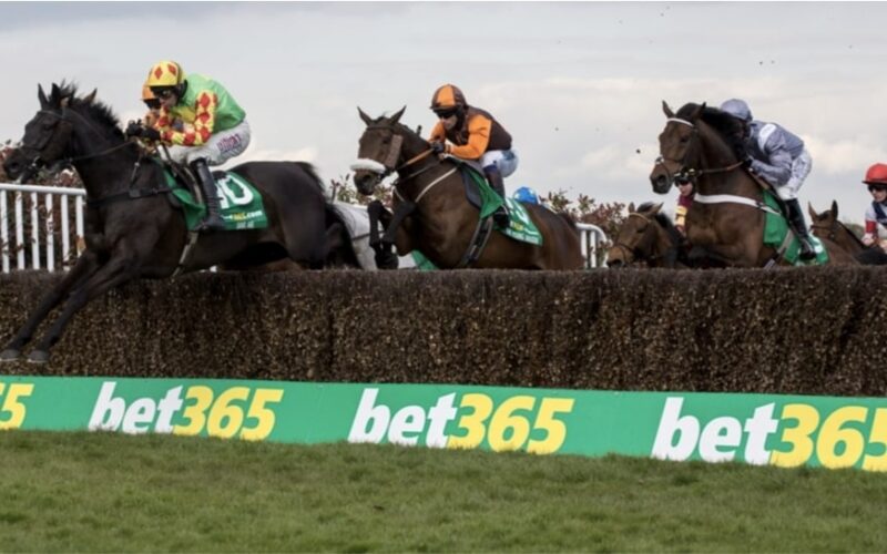 horse racing Dark Design bet365