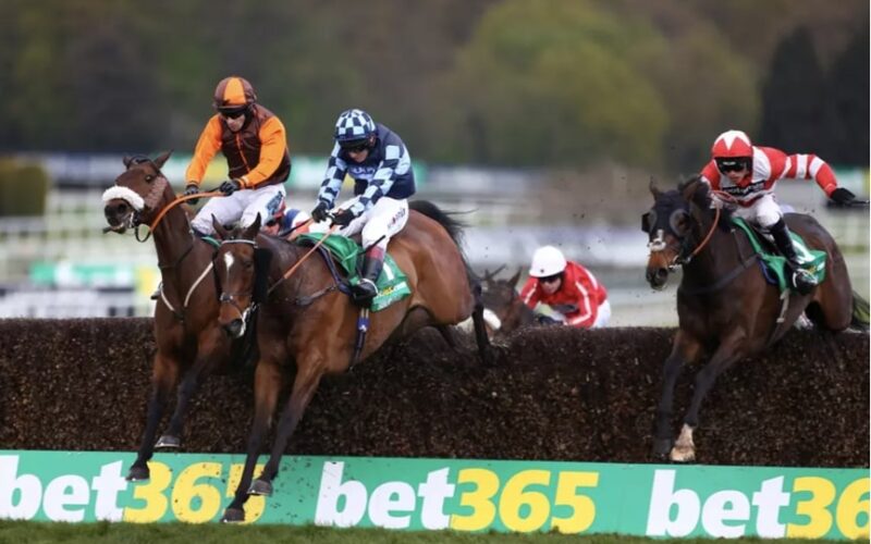 horse racing Bojink bet365