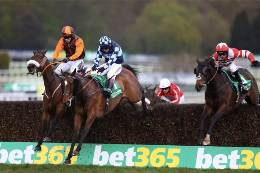 horse racing Bojink bet365