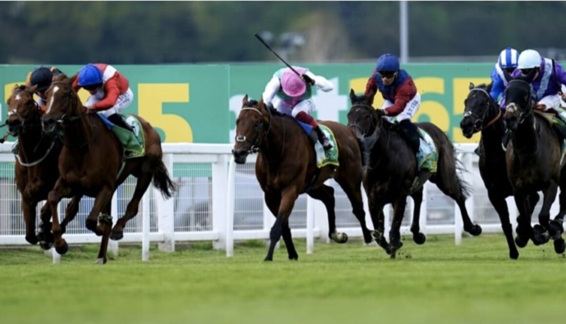 new definition horse racing bet365