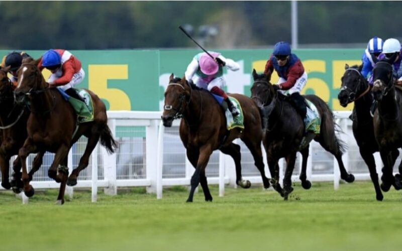 new definition horse racing bet365