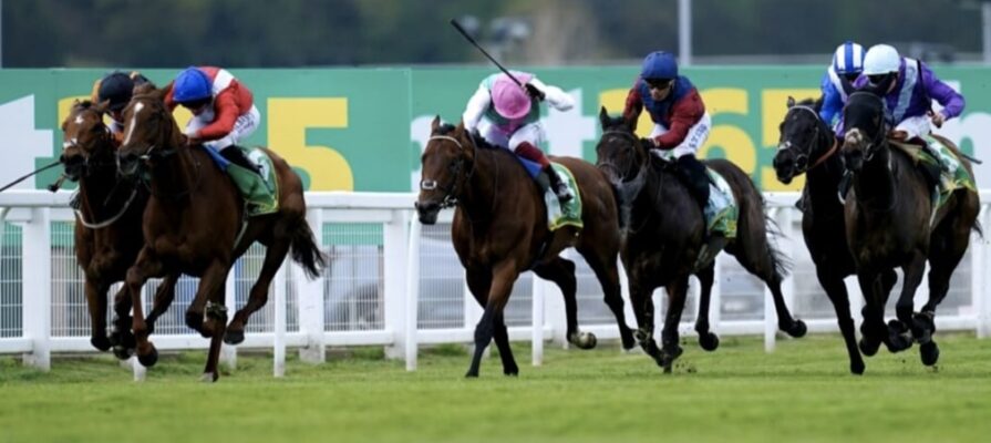 new definition horse racing bet365