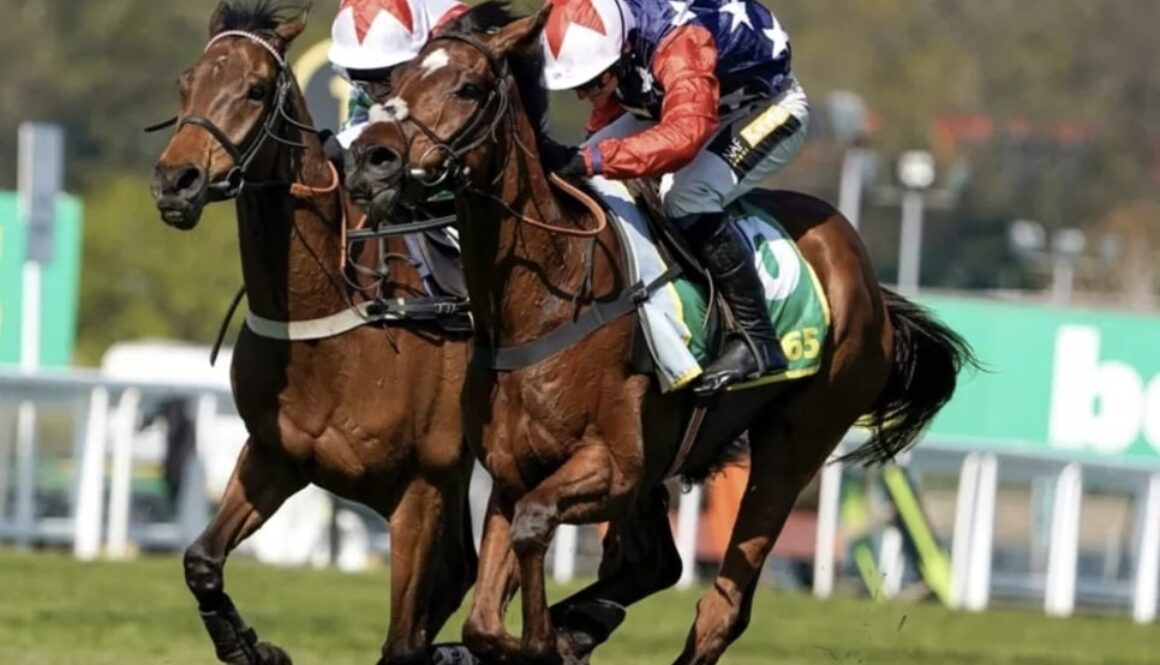 horse racing Dragon Symbol bet365 (1)