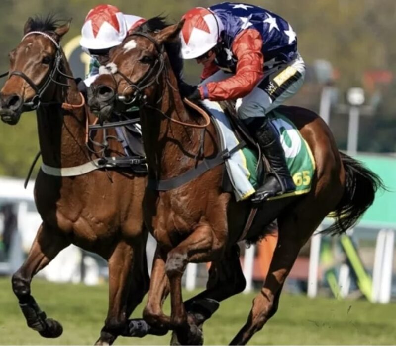 horse racing Dragon Symbol bet365 (1) horse racing Dragon Symbol bet365 (1)