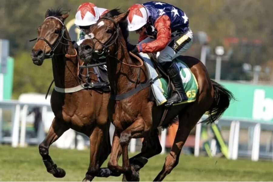 horse racing Dragon Symbol bet365 (1)