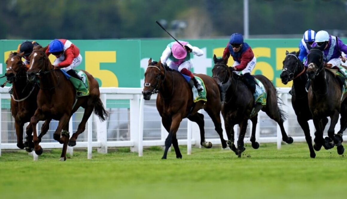 horse racing rock girl bet365