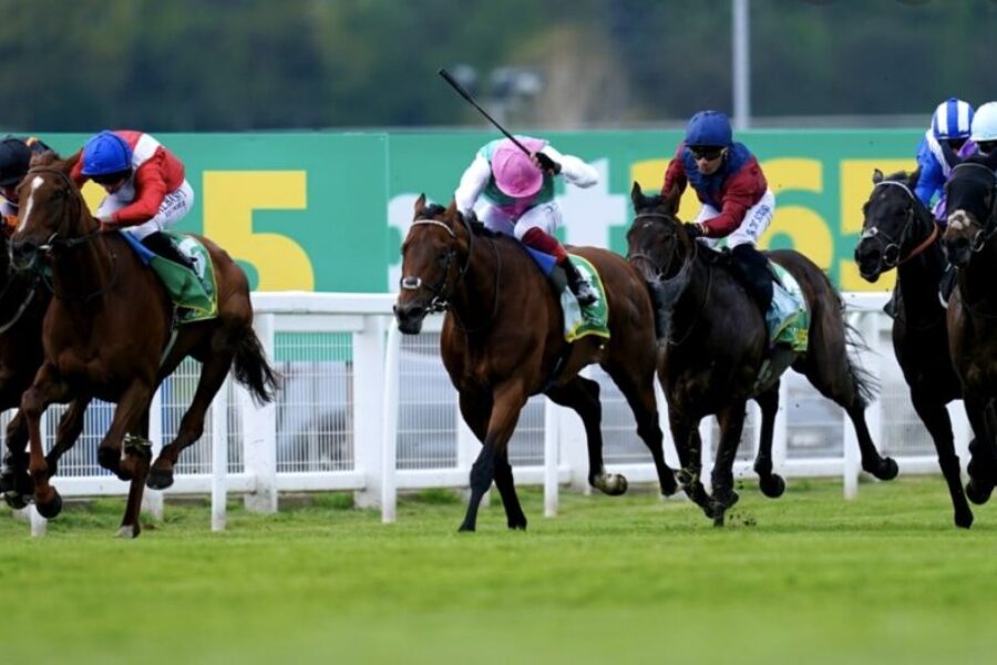 horse racing rock girl bet365