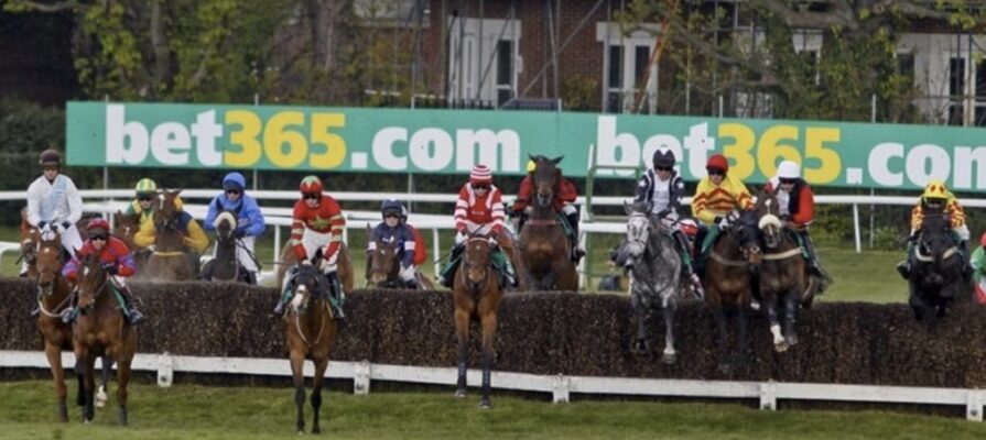 bear to dream horse racing bet365