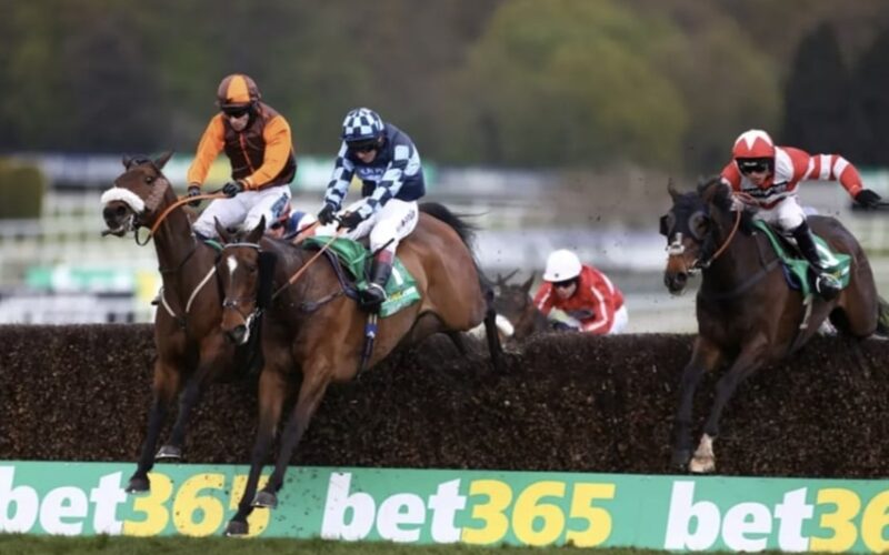 beau roc horse racing bet365