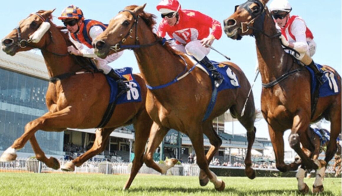 hurricane lane horse racing bet365