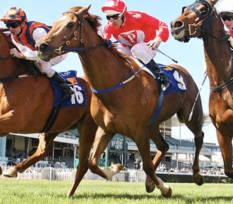 hurricane lane horse racing bet365