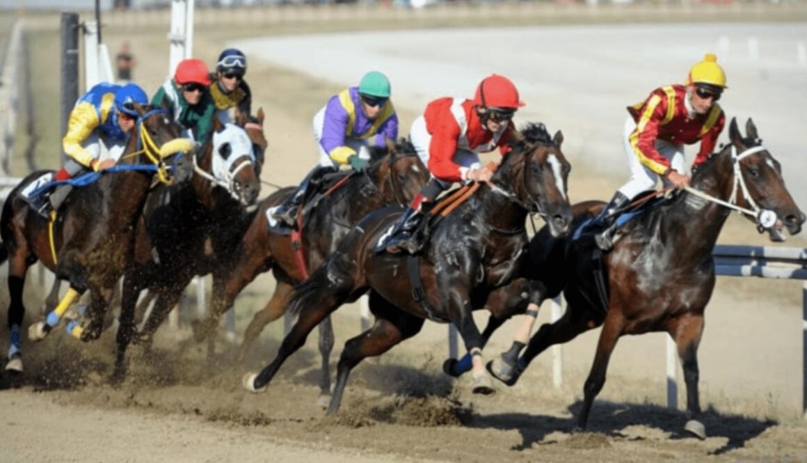 horse racing minnetonka bet365