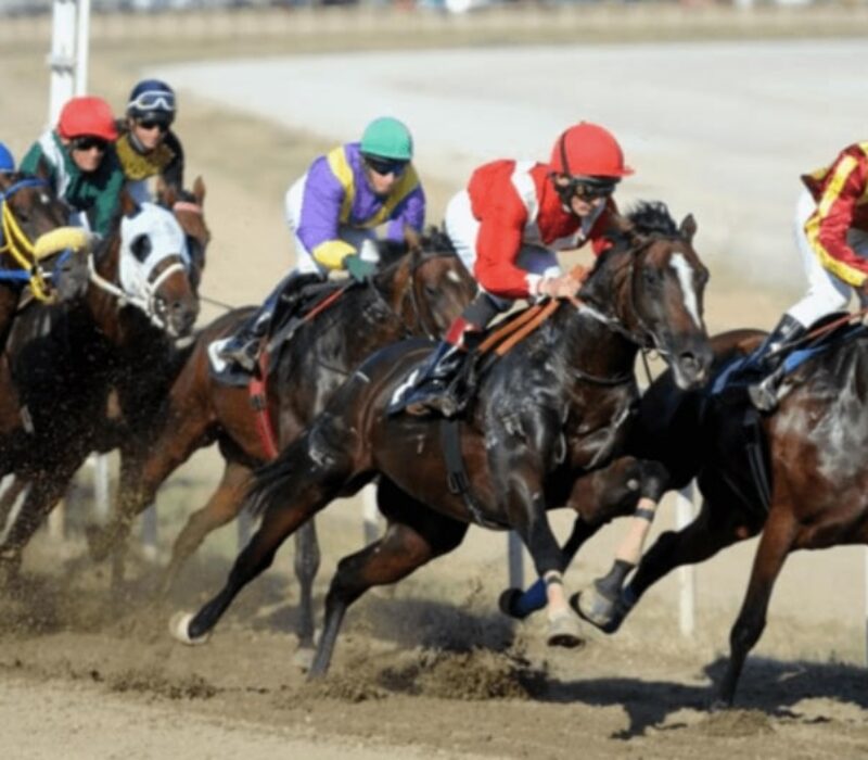 horse racing minnetonka bet365