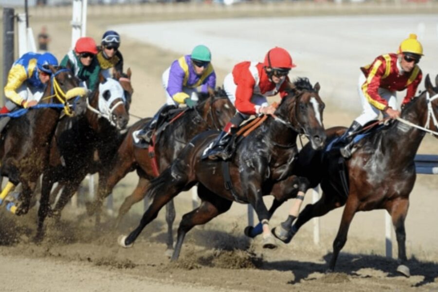 horse racing minnetonka bet365